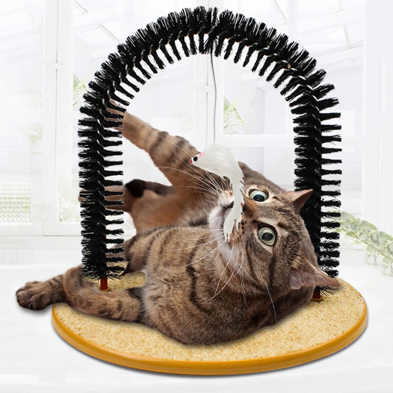Cat Arch Self Groomer