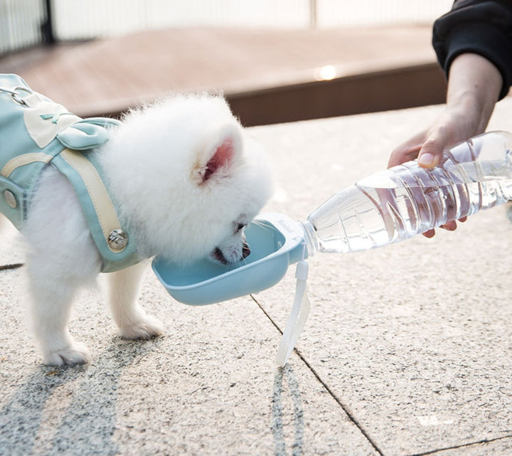 Teddy Portable Drinking Water Bottle – On-the-Go Hydration