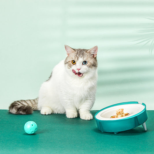 Eco-Friendly Disposable Cat Bowl – Portable & Replaceable