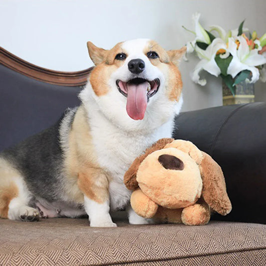 Cute Puppy Plush Toy